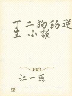 丁二狗的逆袭人生 小说