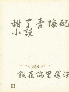 甜了青梅配竹马小说