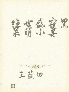 绝世盛宠黑帝的呆萌小妻