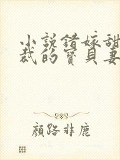 小说错嫁甜婚总裁的宝贝妻封面