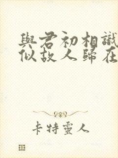 与君初相识·恰似故人归在线观看