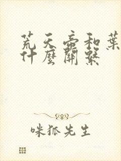 荒天帝和叶天帝什么关系