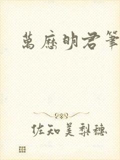 万历明君笔趣阁封面