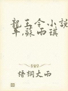 龙王令小说,陈平,苏雨琪