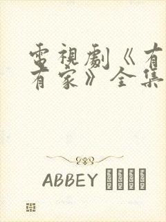 电视剧《有你才有家》全集免费封面