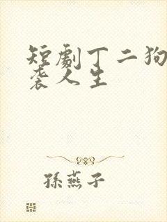 短剧丁二狗的逆袭人生