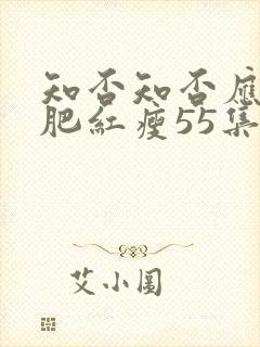 知否知否应是绿肥红瘦55集