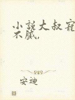 小说大叔宠妻甜不腻,