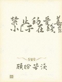 禁止的爱善良的小[子在线观看完整韩剧