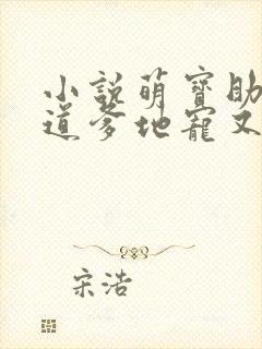 小说萌宝助攻霸道爹地宠又撩