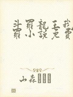 斗罗龙王我为阎罗小说免费阅读封面