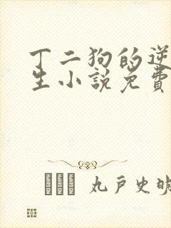 丁二狗的逆袭人生小说免费阅读封面