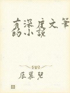 有深度文笔超好的小说