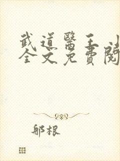 武道医王 小说全文免费阅读