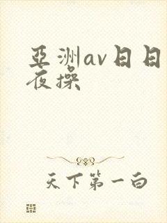 亚洲av日日夜夜操