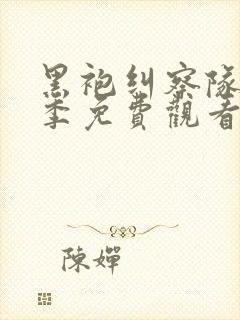 黑袍纠察队第4季免费观看