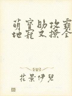 萌宝助攻霸道爹地宠又撩全文阅读