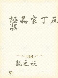 极品家丁反绿帽版封面