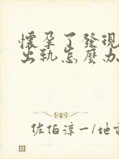 怀孕了发现老公出轨怎么办封面