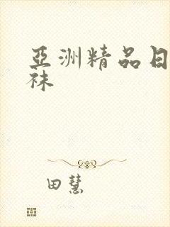 亚洲精品日韩丝袜