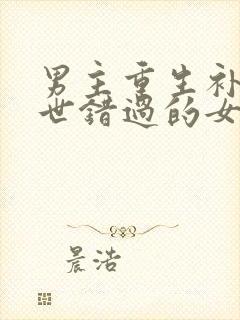 男主重生补偿前世错过的女主