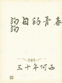 狗日的青春日了狗