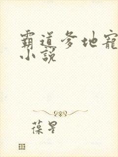 霸道爹地宠又撩小说