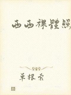 西西裸体照封面