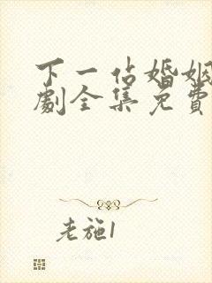 下一站婚姻电视剧全集免费观看高清封面