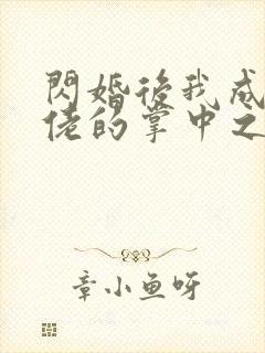 闪婚后我成了大佬的掌中之物未删减封面