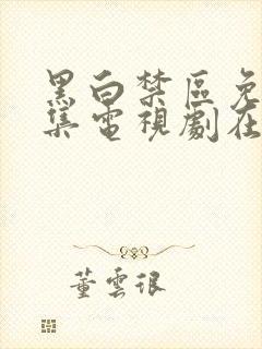 黑白禁区免费全集电视剧在线观看