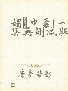 媚薬中毒1～2集无删减版