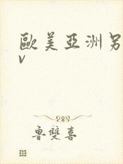 欧美亚洲另类av