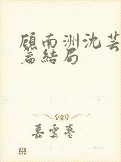 顾南洲沈芸番外篇结局