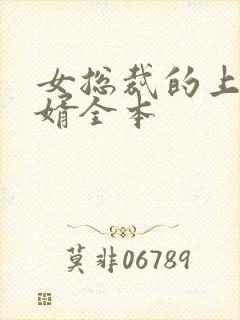 女总裁的上门女婿全本