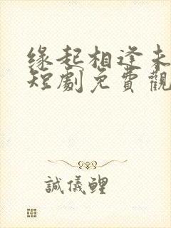 缘起相逢未识时短剧免费观看全集