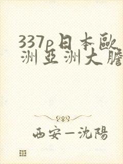 337p日本欧洲亚洲大胆裸体艺术摄影精品