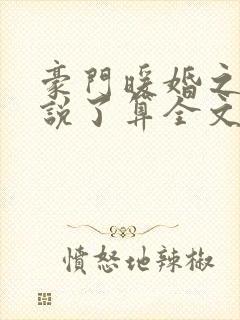 豪门暖婚之夫人说了算全文免费