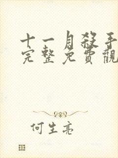 十一月杀手在线完整免费观看