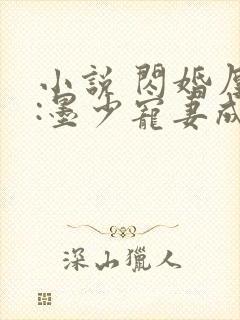 小说 闪婚厚爱:墨少宠妻成瘾