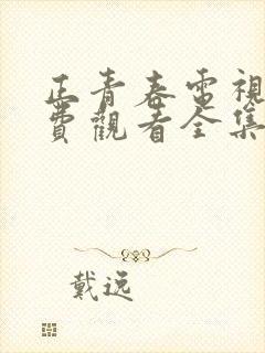 正青春电视剧免费观看全集德思