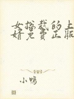 女总裁的上门女婿免费正版封面