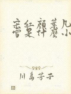 宋红颜叶凡唐若雪是什么小说