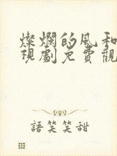 灿烂的风和海电视剧免费观看高清封面