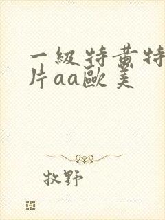 一级特黄特色大片aa欧美封面