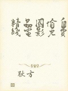 精品国偷自产在线电影免费观看