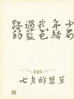 路过我年少时光的蓝色结局是he吗