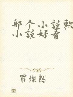 哪个小说软件的小说好看