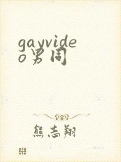 gayvideo男同