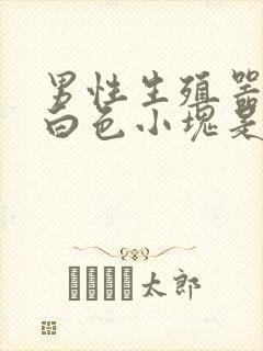 男性生殖器官里白色小块是什么情况